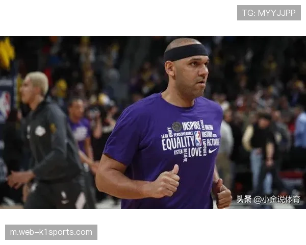 对比奥本山与黄蜂冲突 球场内与看台边界的判罚逻辑演变